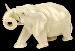 Ivory Elephant